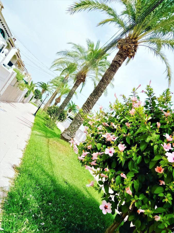 Casa Ilda Villa Gran Alacant Eksteriør billede